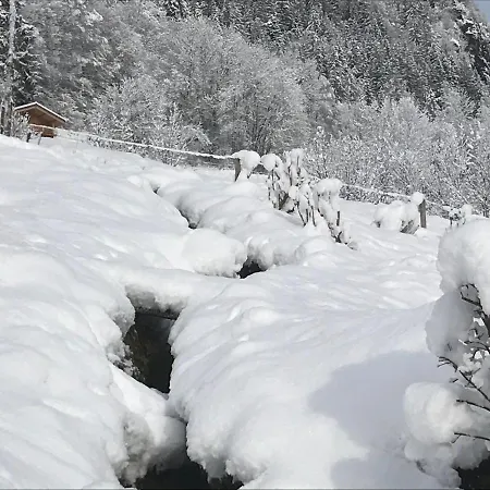 Le Blanc Nordique